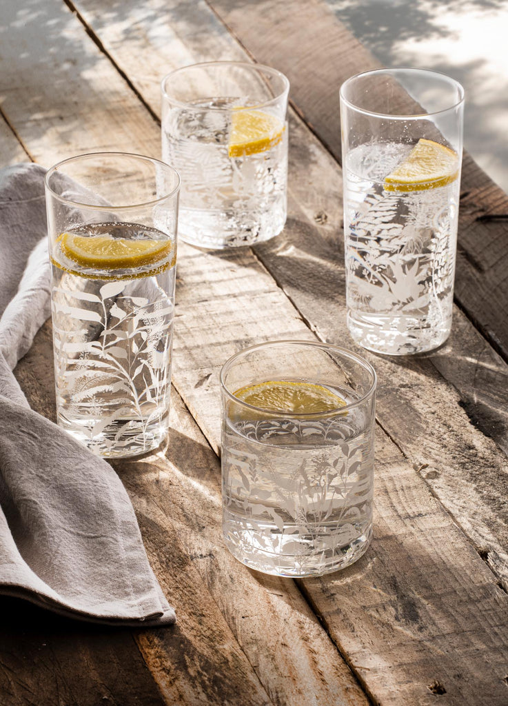 Ladelle - Glass Tumblers