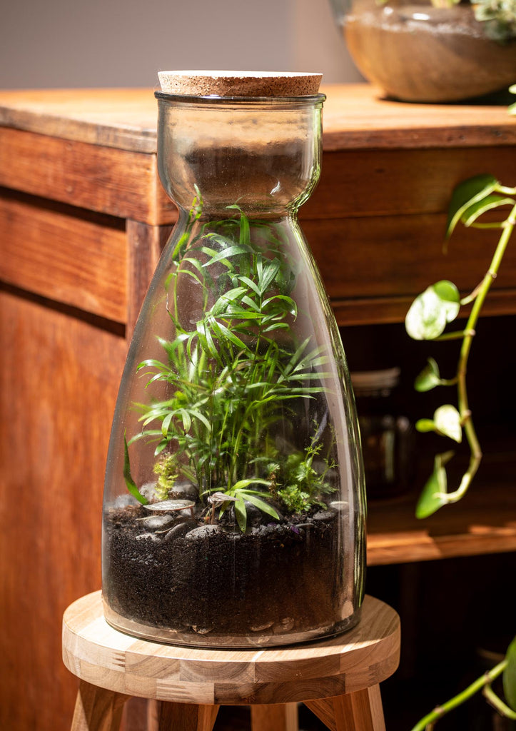 Eco Ladelle - Terrariums